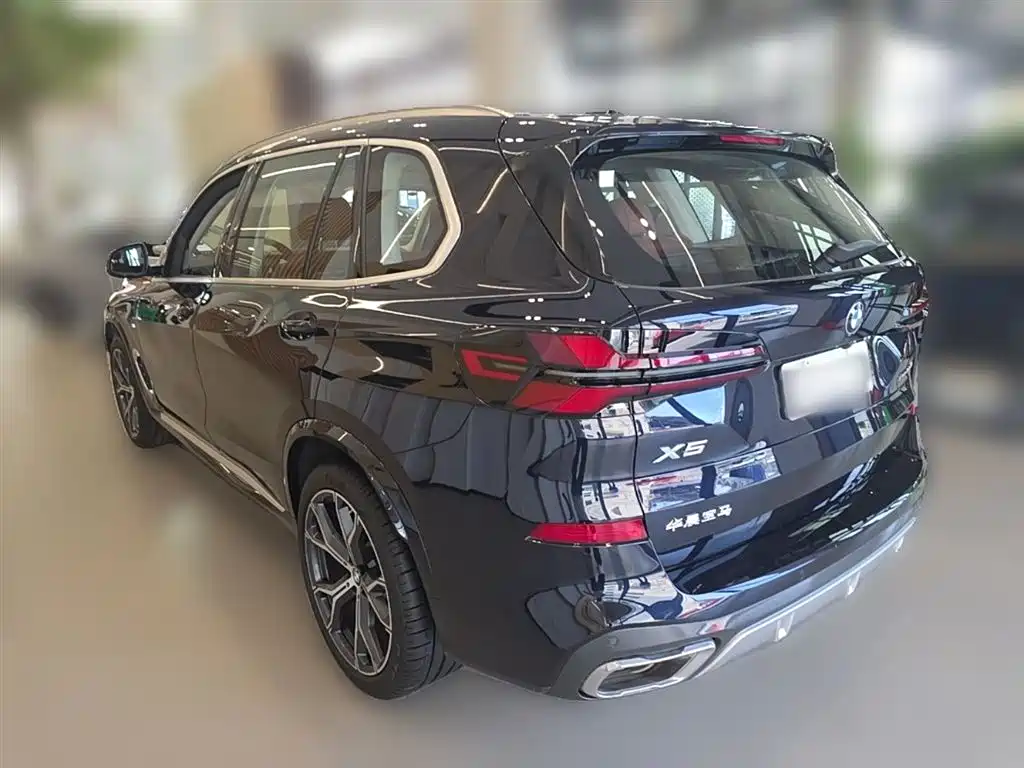 BMW X5 2023 xDrive 30Li Premium M Sport Package фото 9