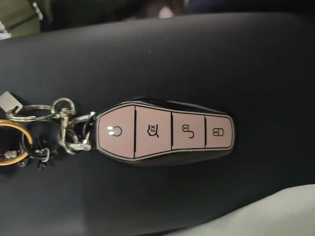 BYD Dolphin 2026 2025 Smart Drive Edition 420km Freedom Version