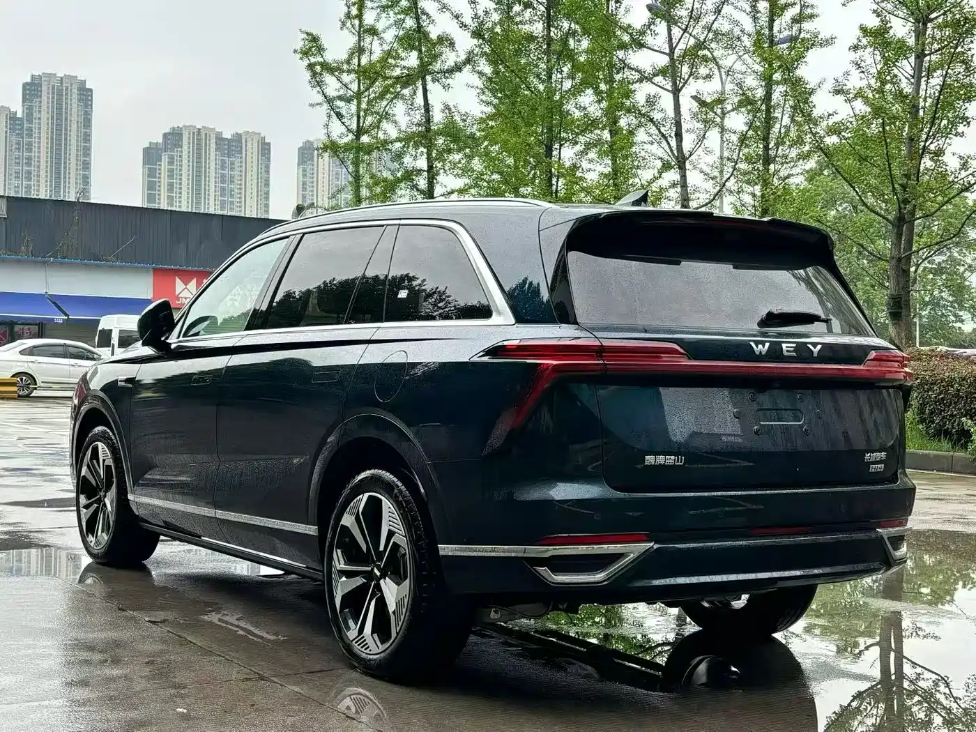 WEI PAI WEI BRAND BLUE MOUNTAIN