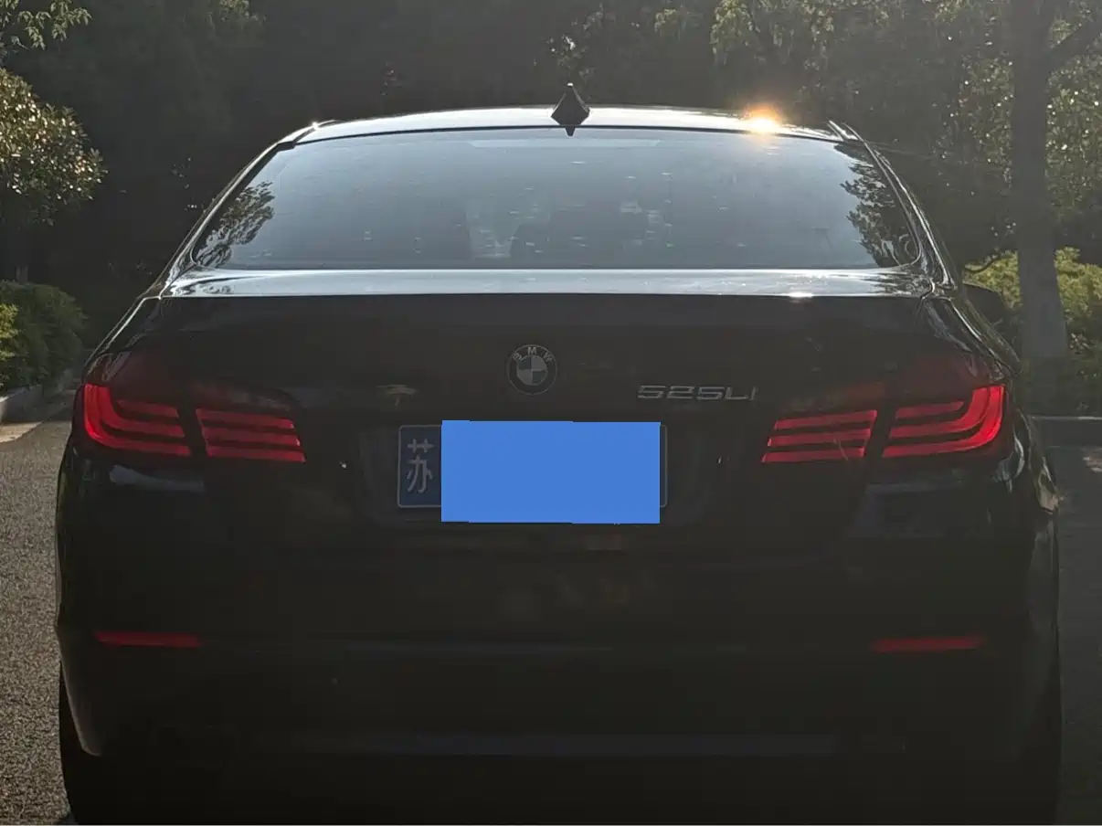 BMW 5 Series 2013 525Li Luxury фото 7