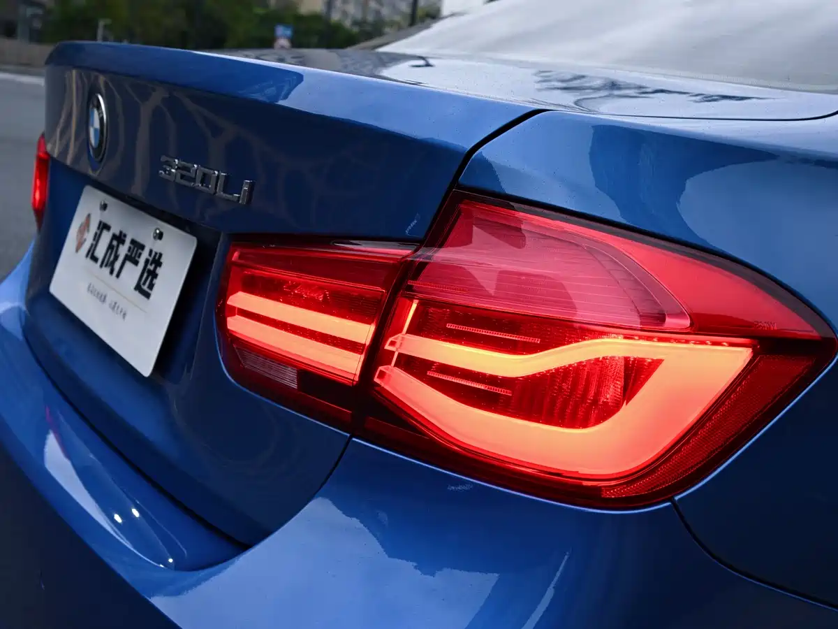 BMW 3 Series 2019 320Li M Sport Package фото 12