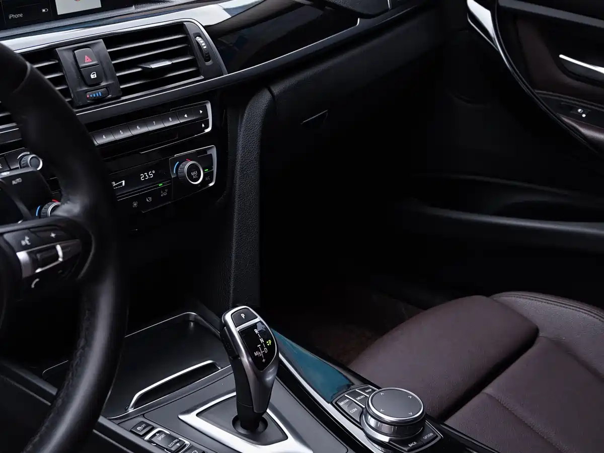 BMW 3 Series 2019 320Li M Sport Package фото 25