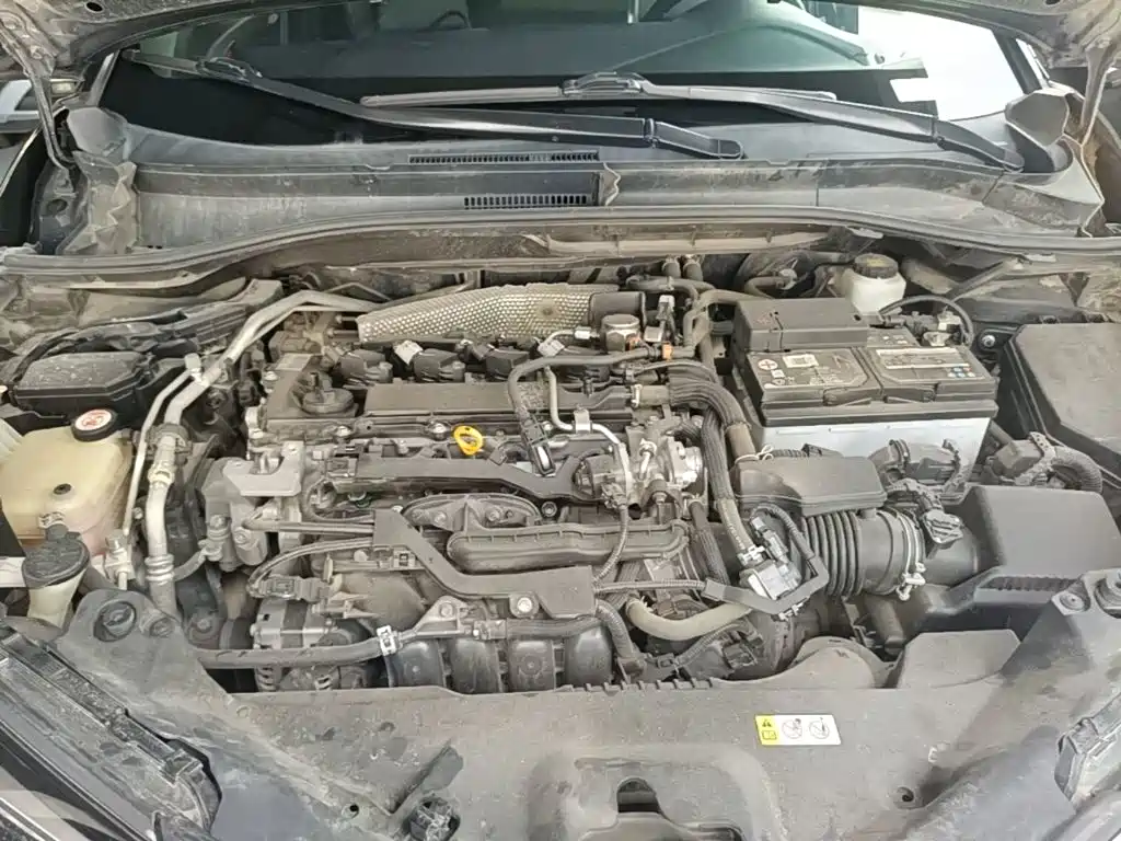 Toyota IZOA 2021 2020 2.0L Yi Chi Edition