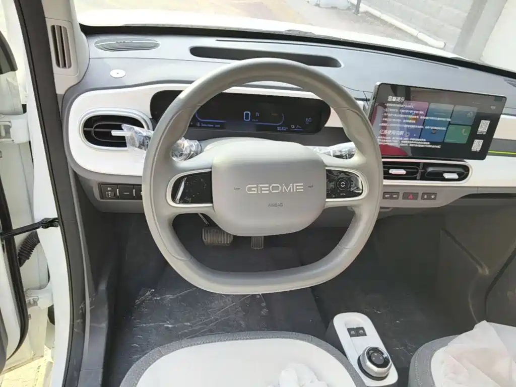 Geely Galaxy Panda 2026 2025 Panda mini 210km Vitality Bear