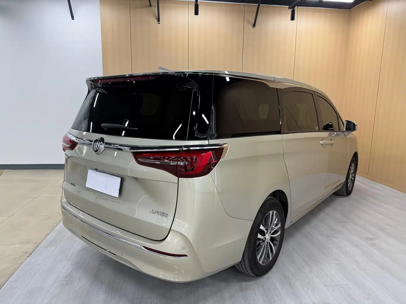 Buick GL8 2023 ES Landmaster Comfort фото 11