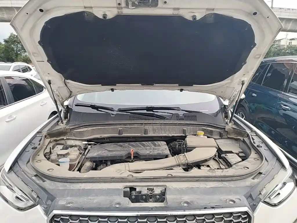 Haval F5 2019 2019 National Trend Edition 1.5T iTrend China VI