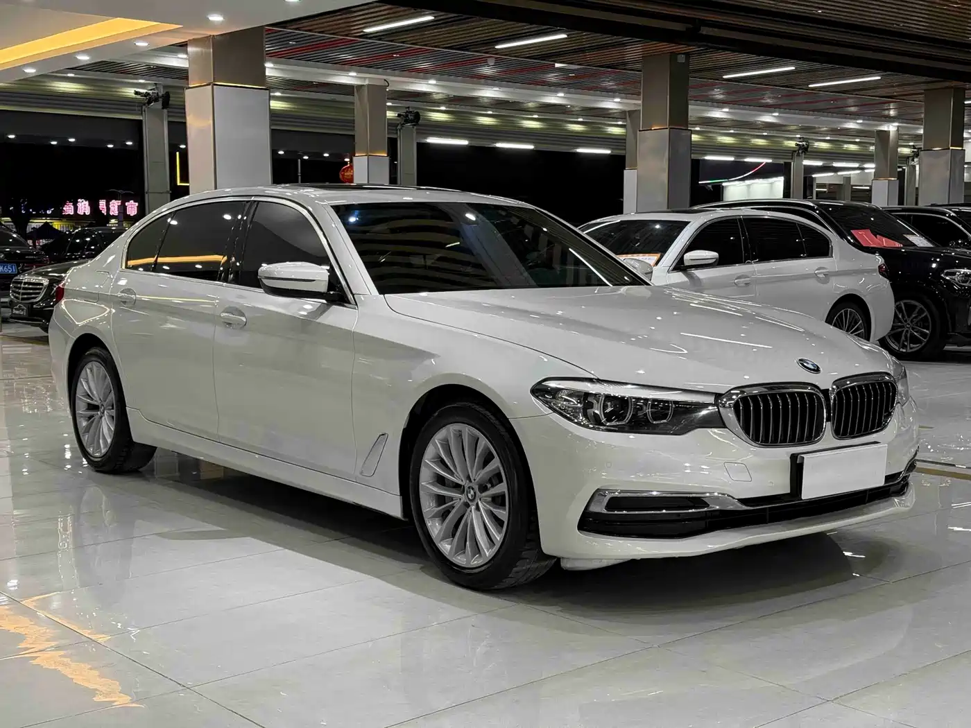 BMW 5 Series 2019 530Li Leading Luxury Package фото 3