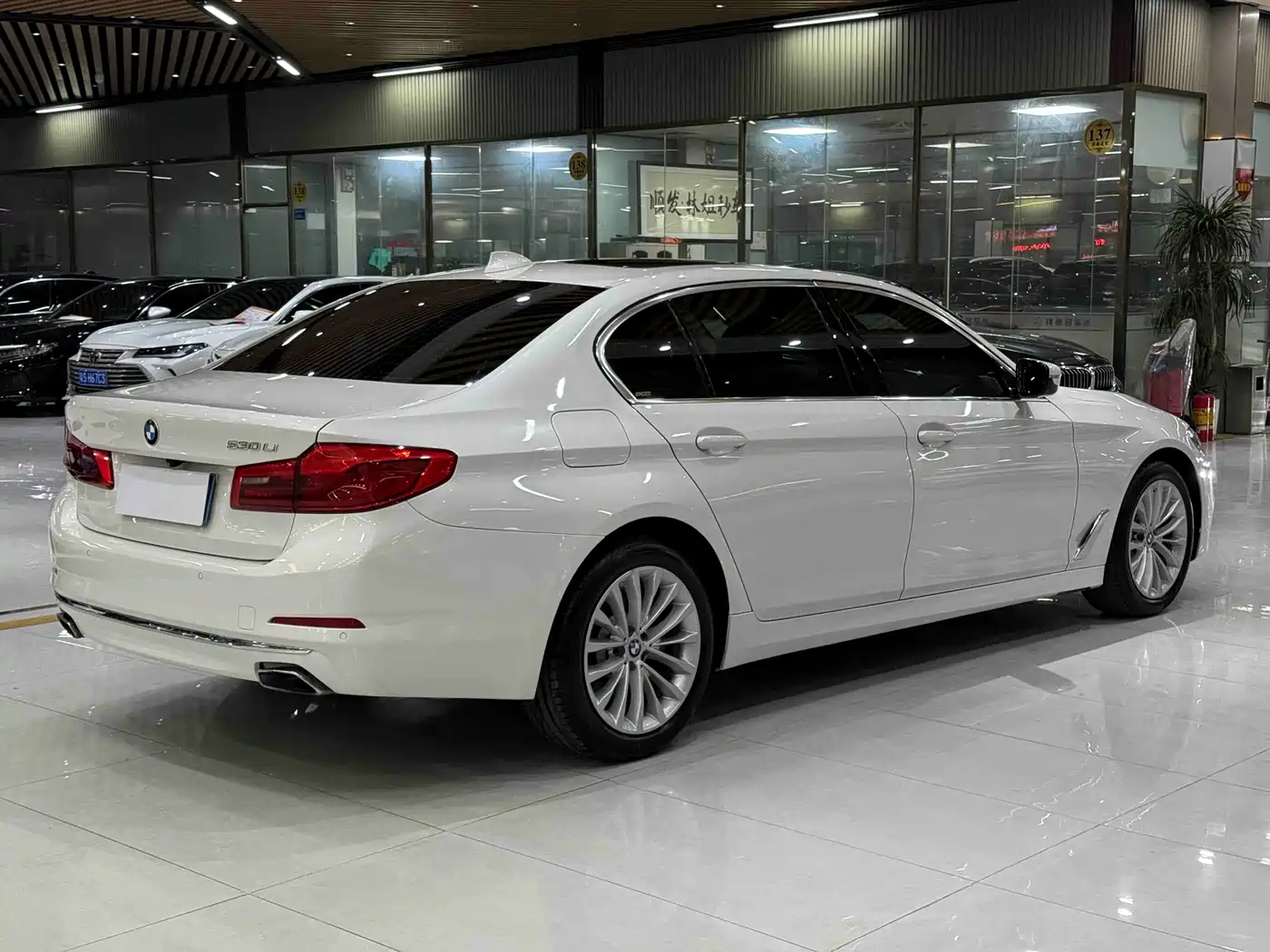 BMW 5 Series 2019 530Li Leading Luxury Package фото 4
