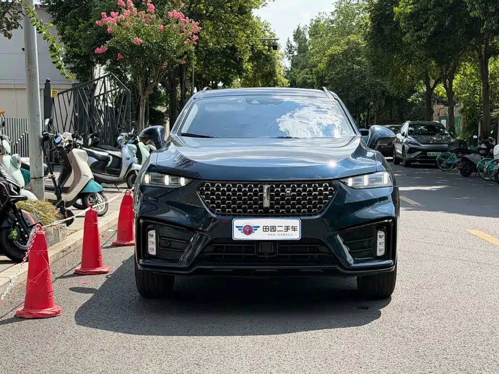 2021 WEY VV7