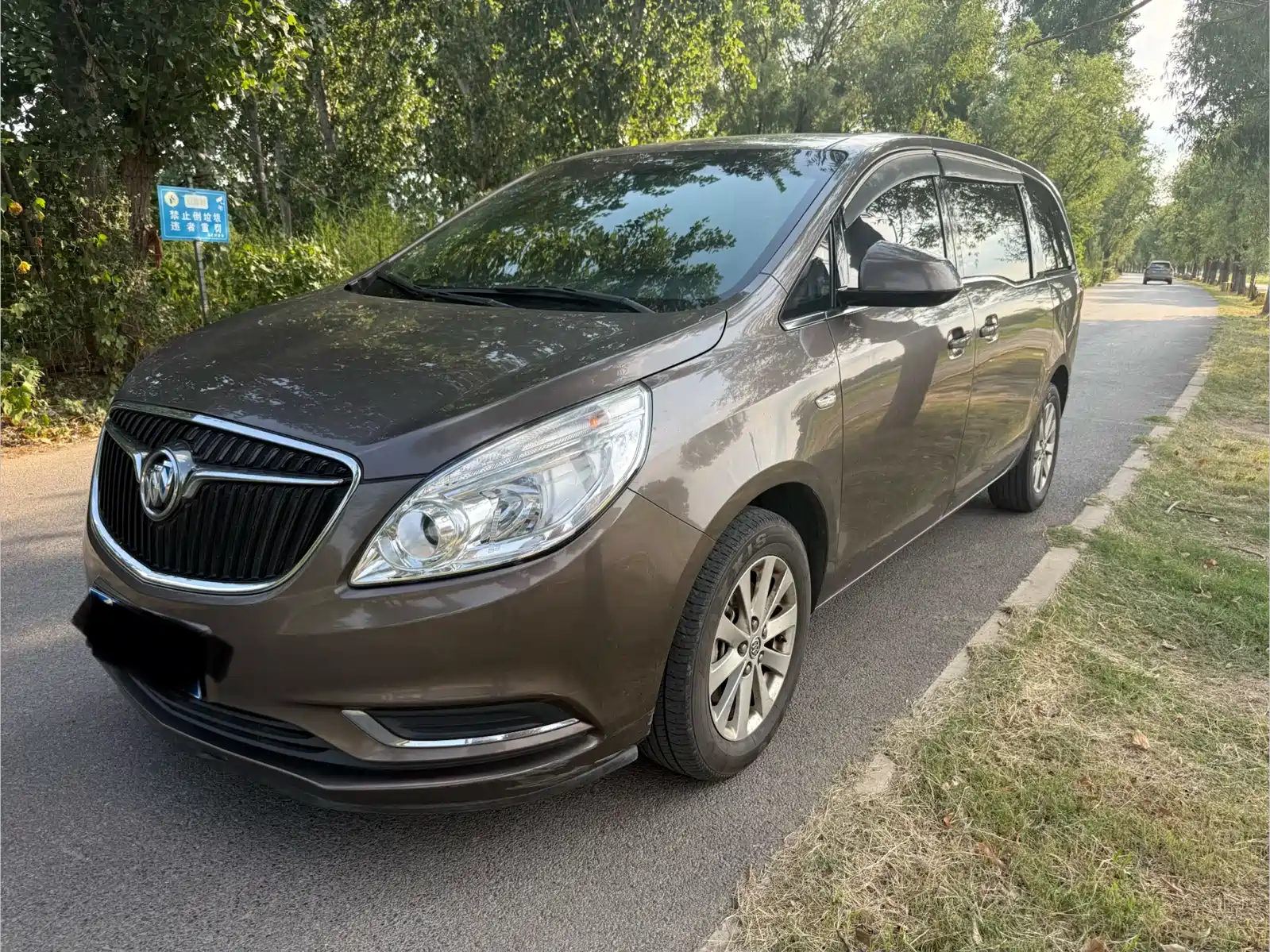 Фото 1 - Buick GL8