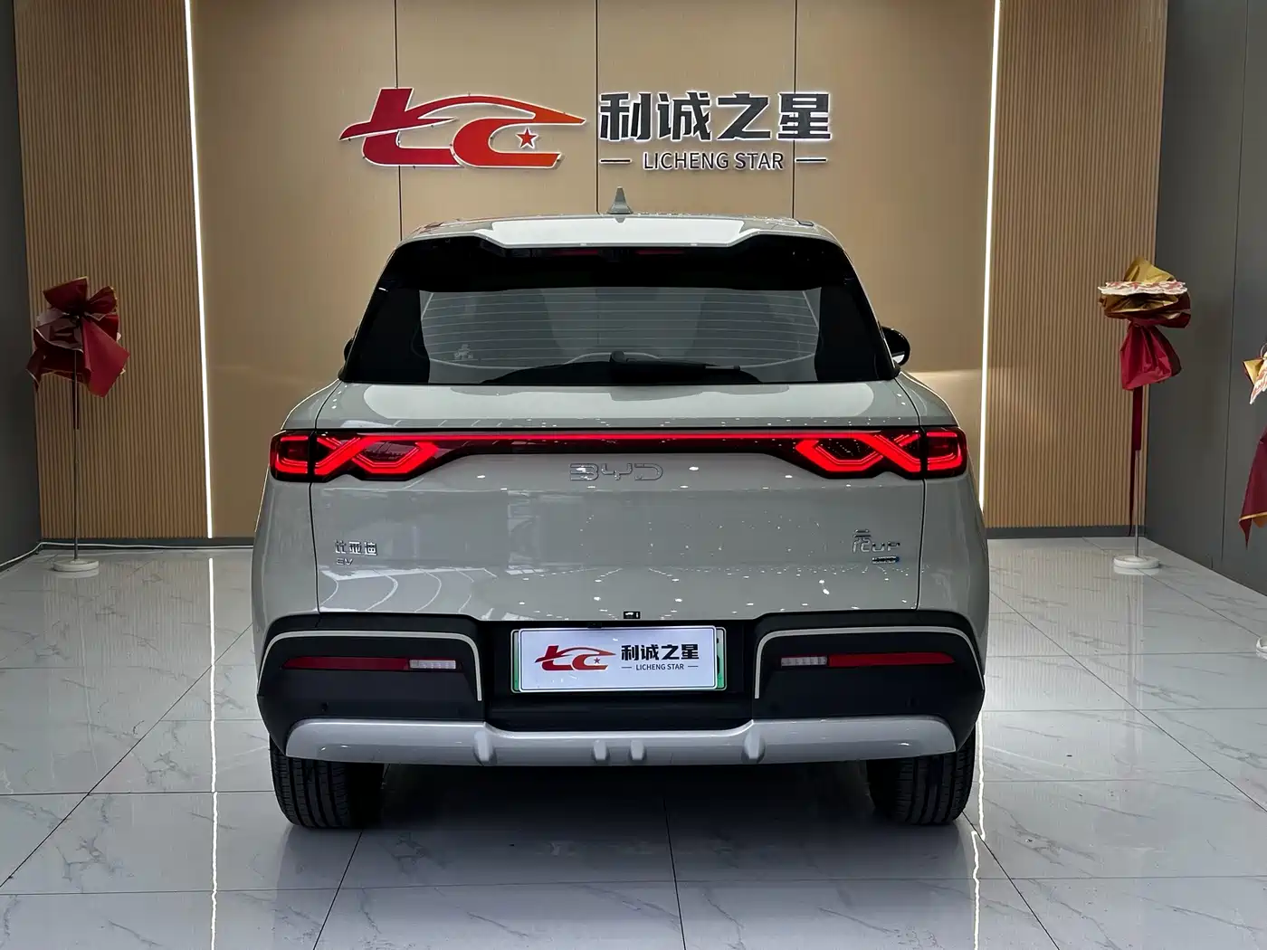BYD Yuan UP 2025 2025 Smart Drive Edition 401KM Leading Type