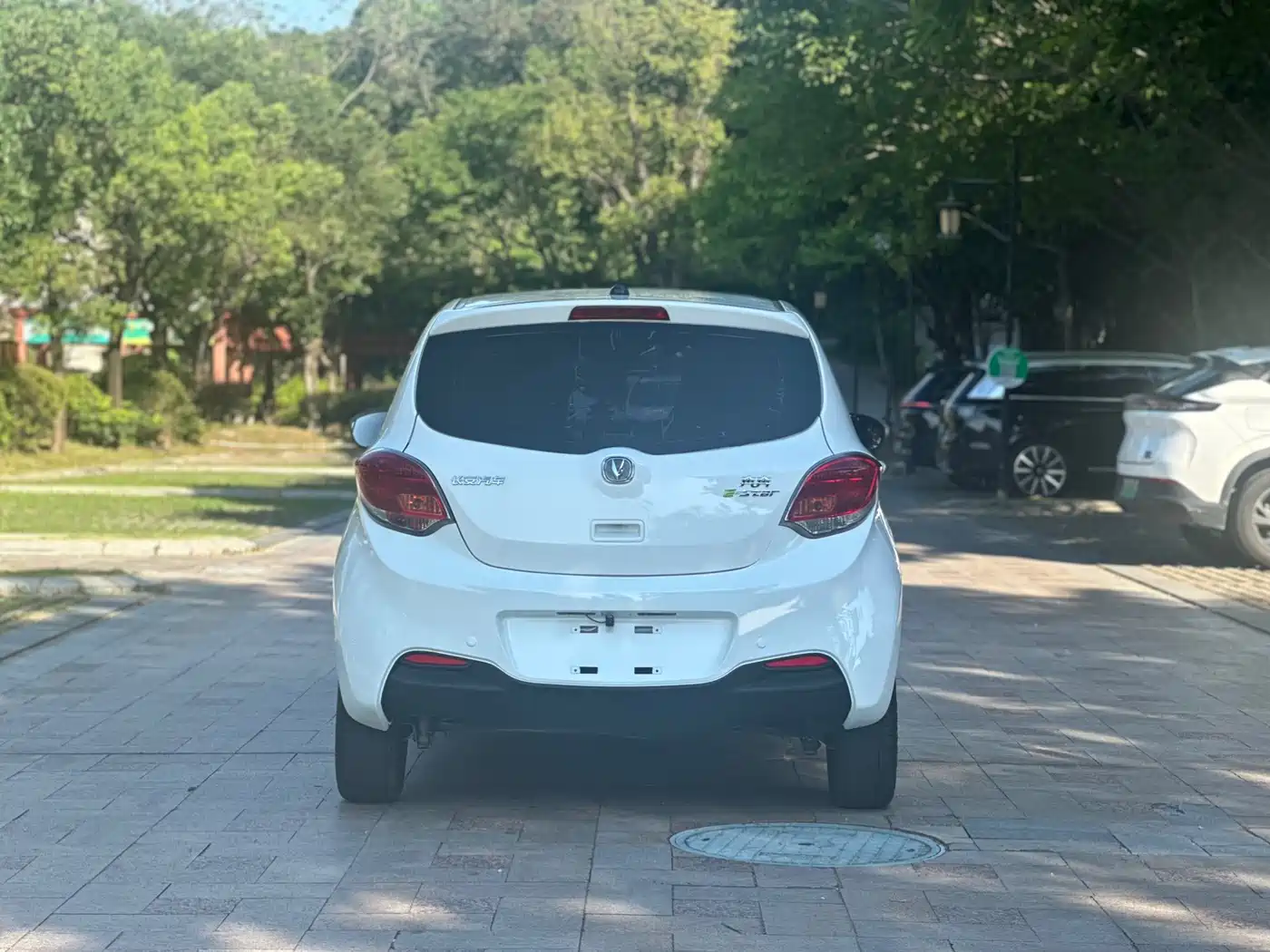 Changan Benben E-Star 2021 2021 National Edition Xinyi LFP (31.95kWh)