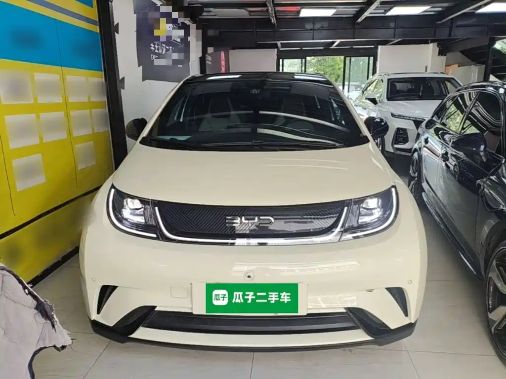 Фото 3 - BYD Dolphin