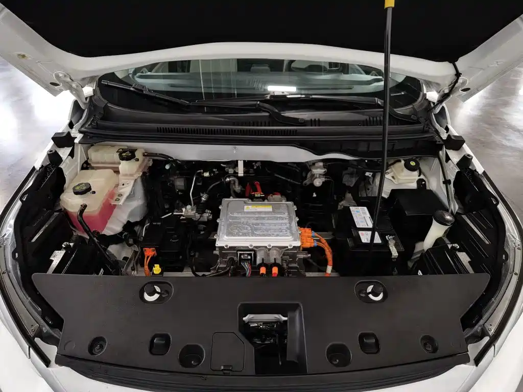 BYD Yuan Pro 2022 2021 401KM Luxury Model
