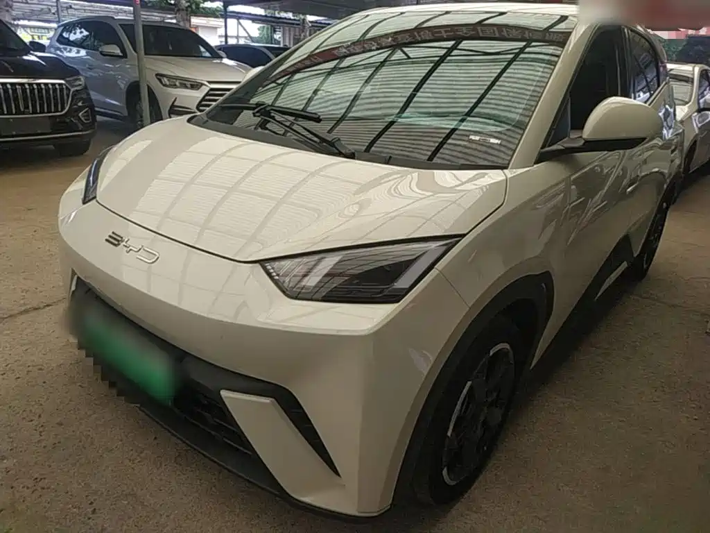 BYD Seagull 2024