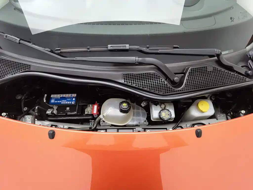 smart forfour 2018 2016 1.0L 52kW Agile Edition