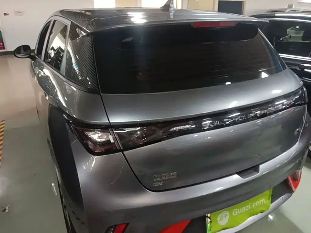 BYD Dolphin 2022 2021 Model 405km Fashion Edition