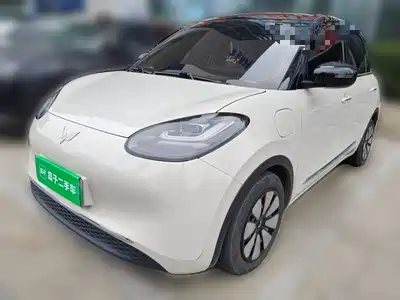 Wuling Bingo