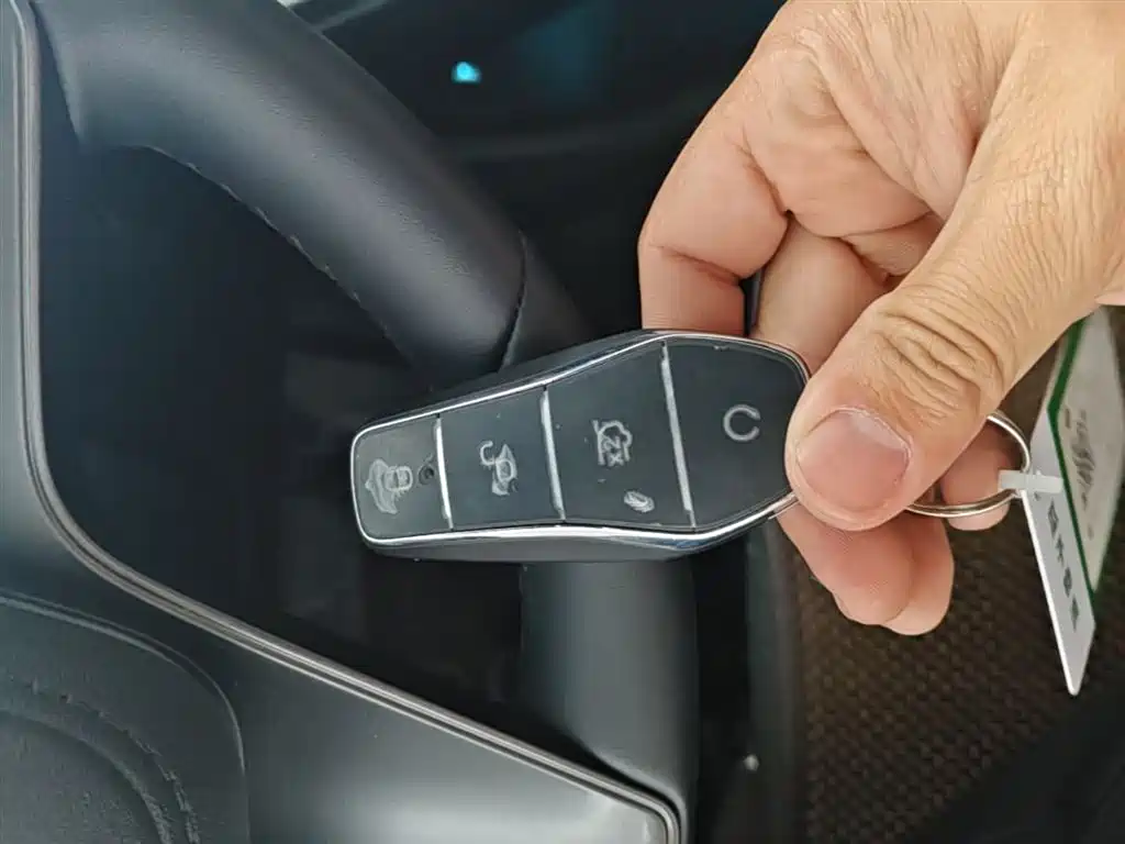 BYD Qin PLUS 2025 DM-i Smart Drive 55KM Leader фото 9