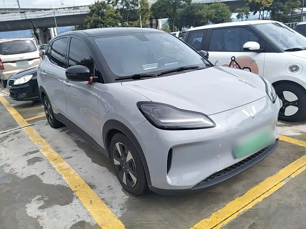 Wuling Motors Wuling Binguo PLUS 2024 2024 Model 510km Flagship Edition 4-Seater