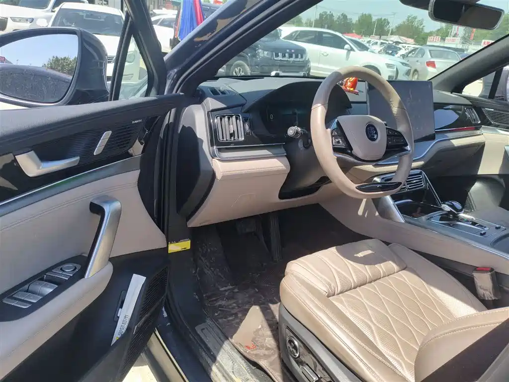 BYD Tang New Energy 2024 EV Champion Edition 730KM Premium фото 12