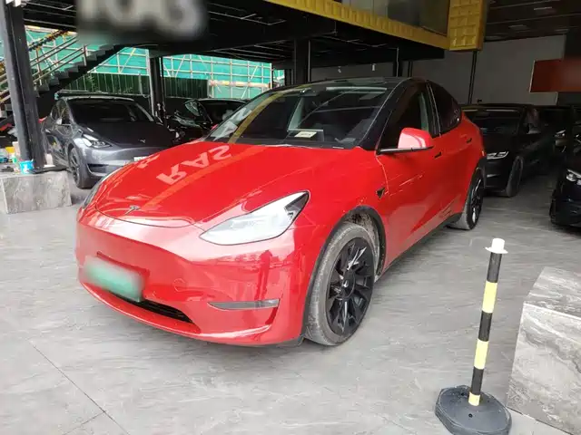 Tesla Model Y Увеличенный запас хода, полный привод