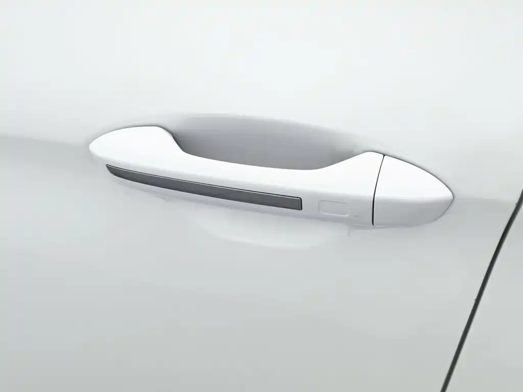 Photo 18 - Geely Binrui