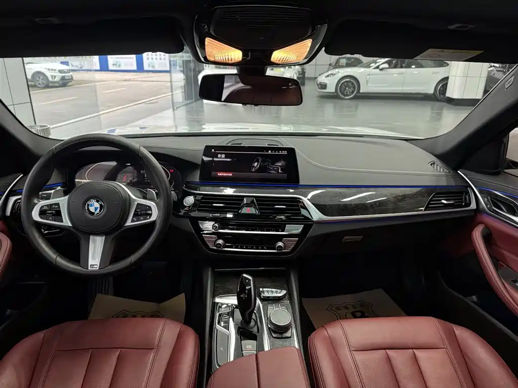 BMW 5 Series 2020 530Li Leading M Sport Package фото 9