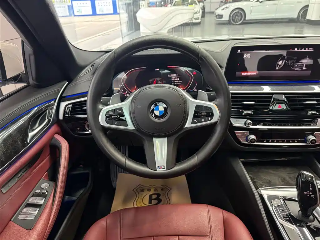 BMW 5 Series 2020 530Li Leading M Sport Package фото 10