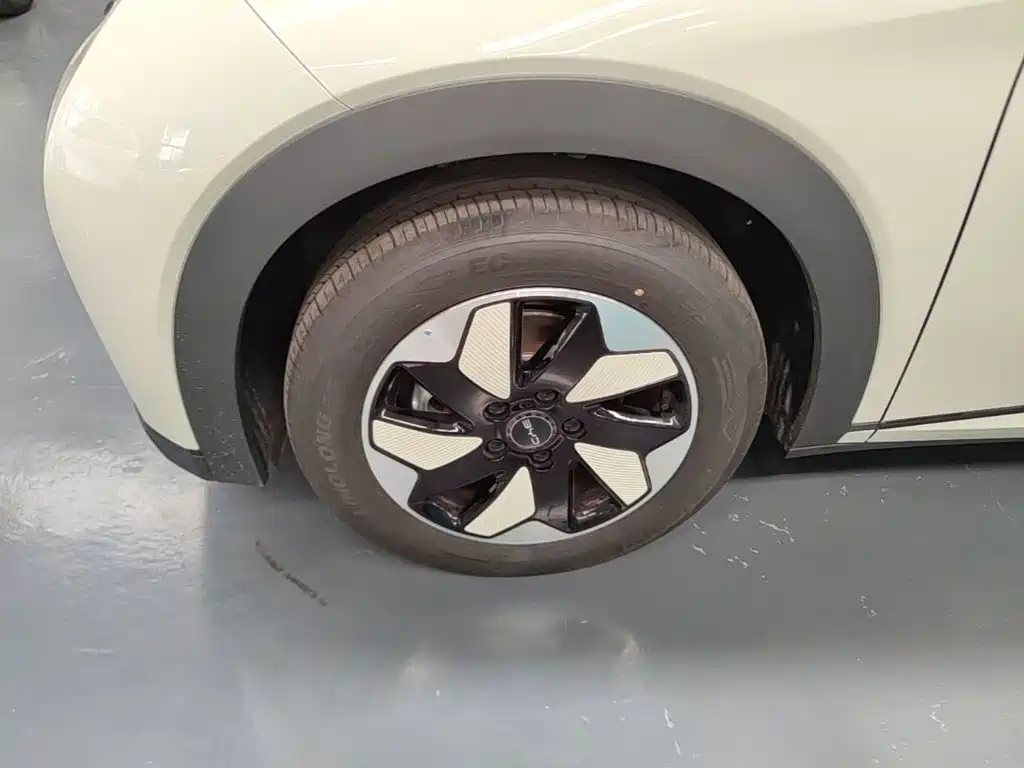 BYD Dolphin 2026 2025 420km Freedom Edition