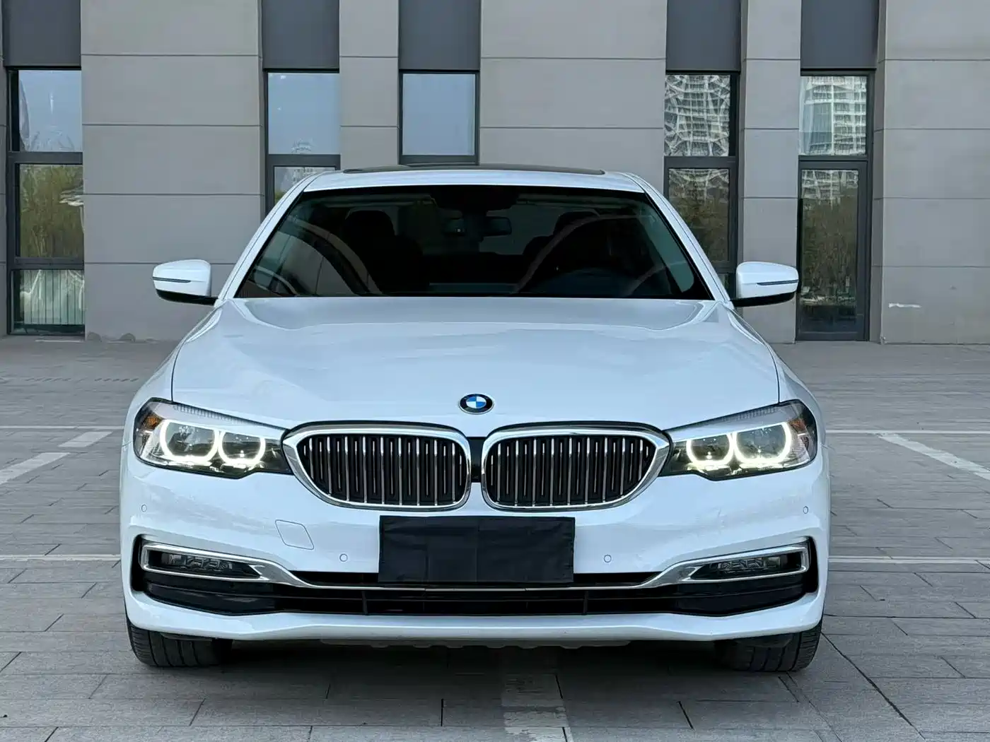 BMW 5 Series 2019 530Li Leading Luxury Package фото 2