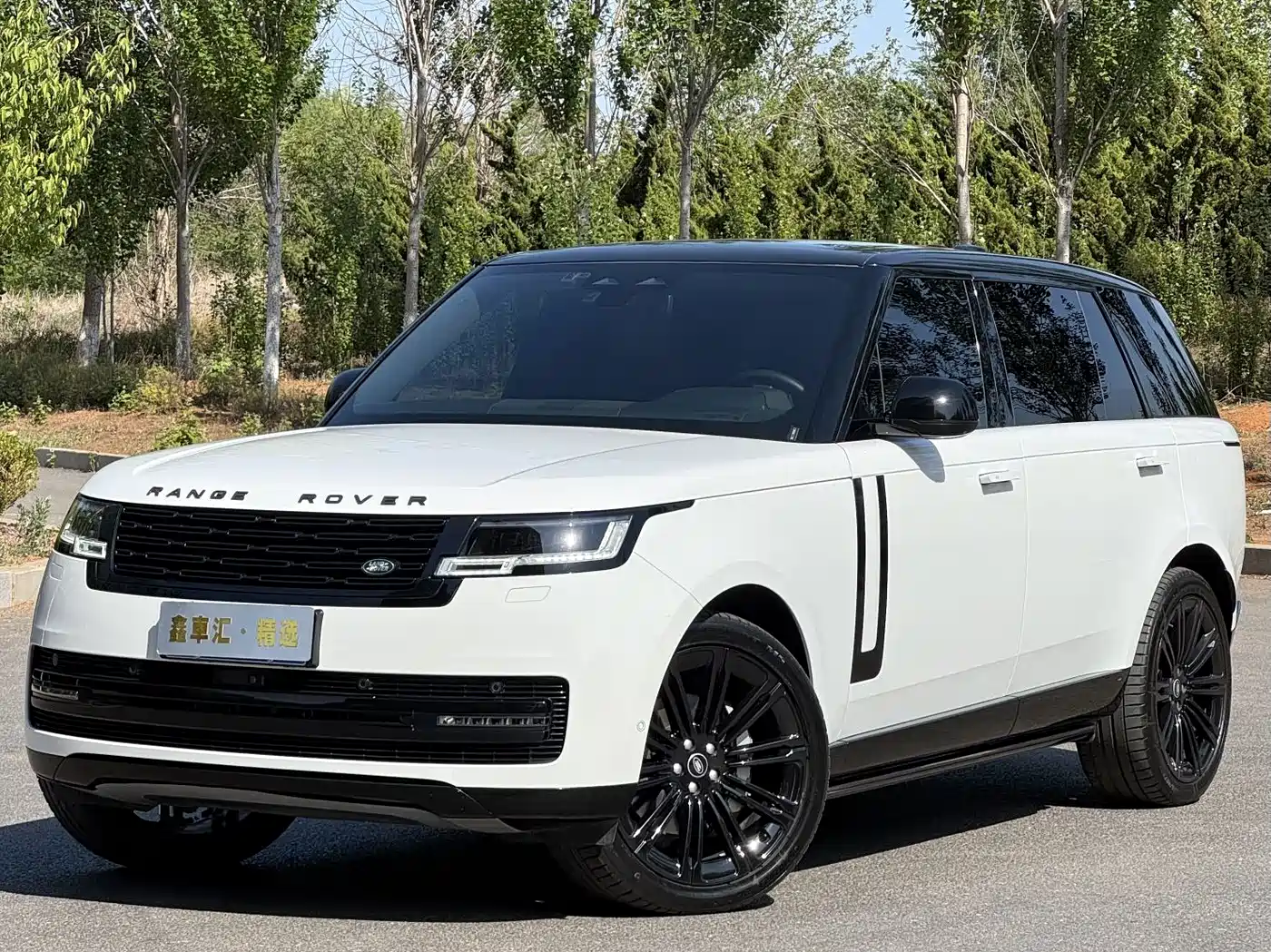 Land Rover Range Rover 2023 3.0 L6 400PS Golden Age 7-Seater Long Wheelbase фото 4