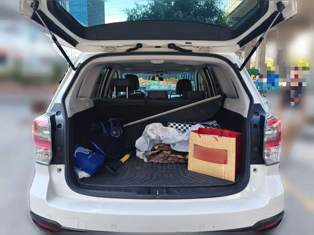 صورة 10 - Subaru Forester