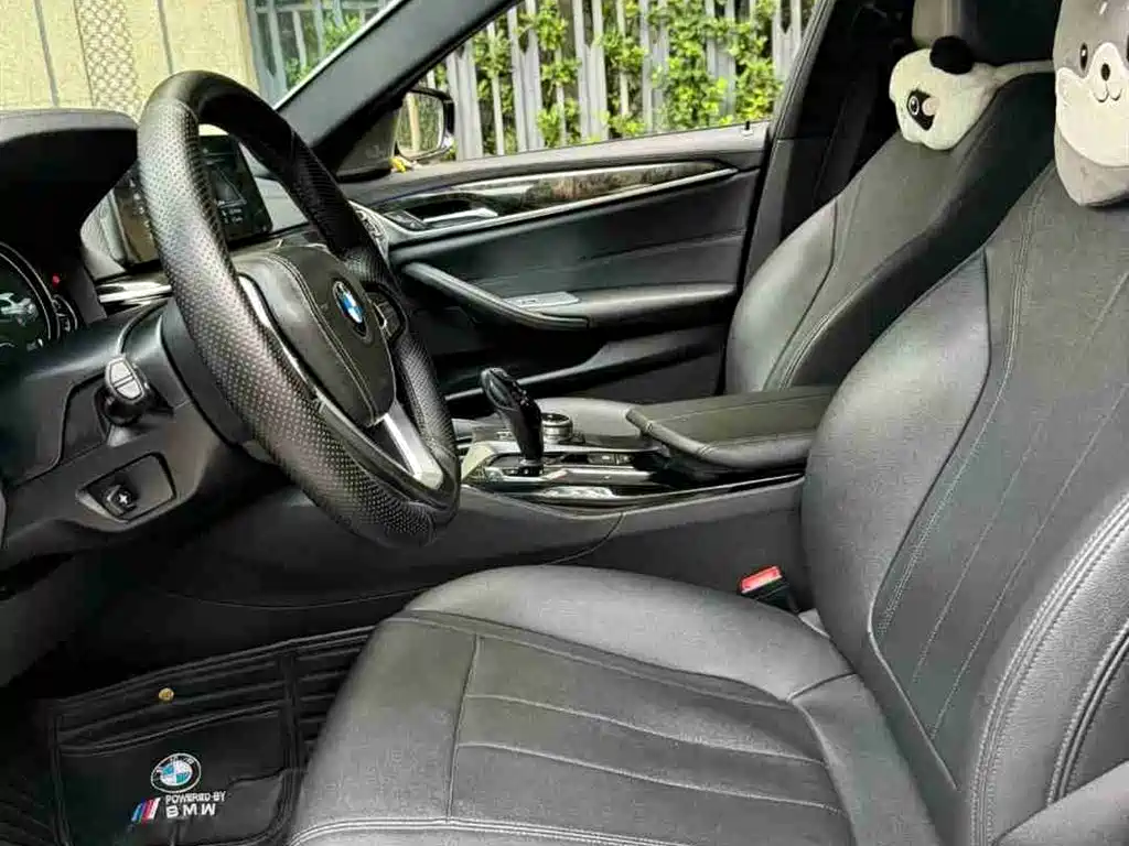 BMW 5 Series 2018 525Li M Sport Package фото 9