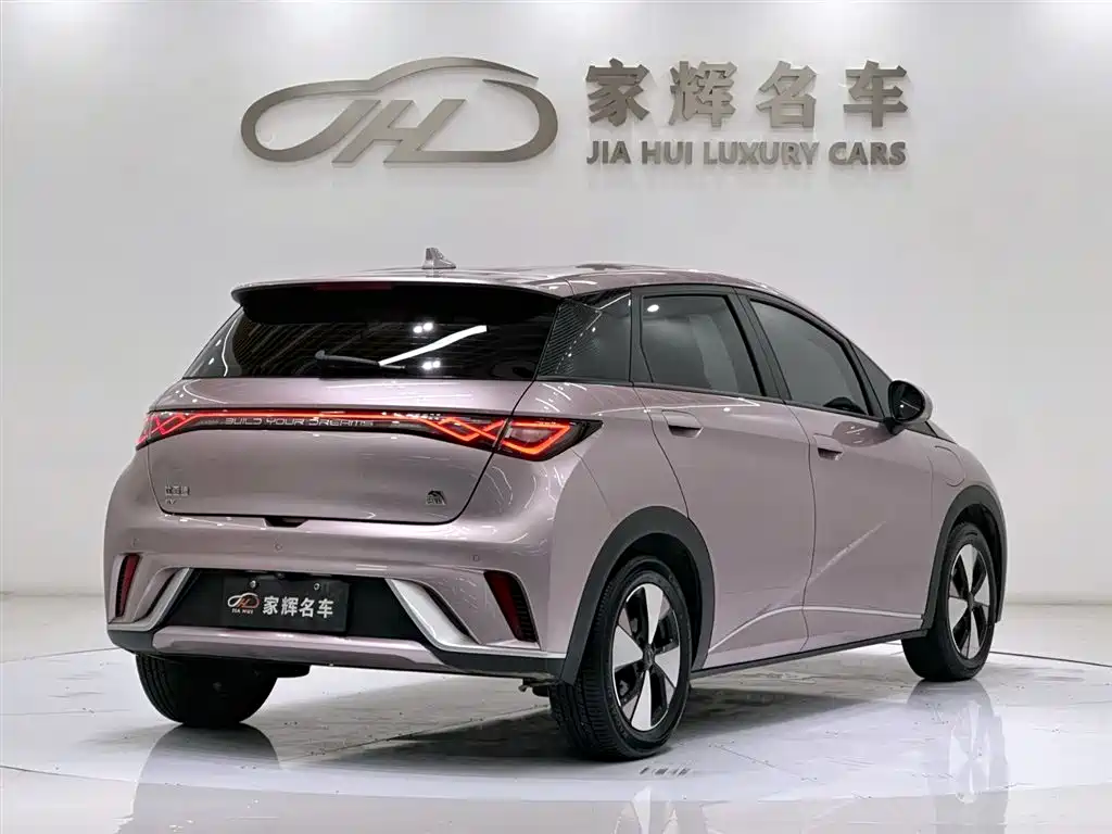 BYD DOLPHIN