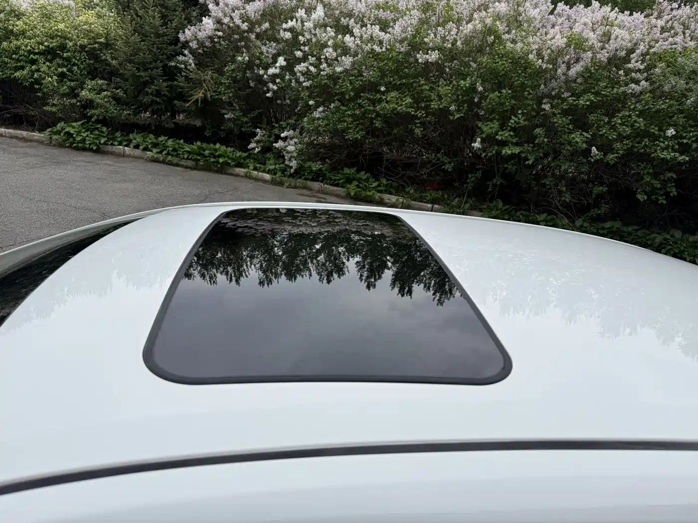 Toyota Corolla 2023 1.2T Elite Edition фото 13