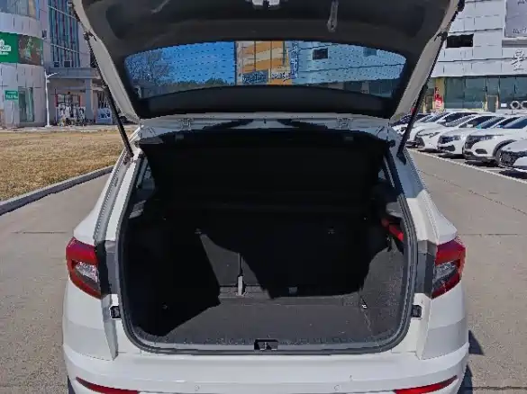 Škoda Karoq 2022 TSI280 Premium фото 10