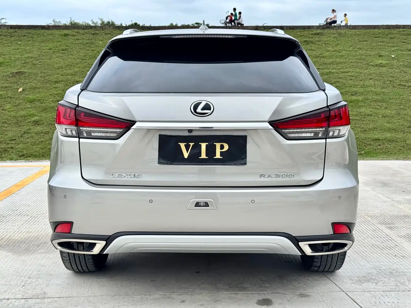 Lexus RX 2020 300 4WD Elegance Edition China VI фото 8