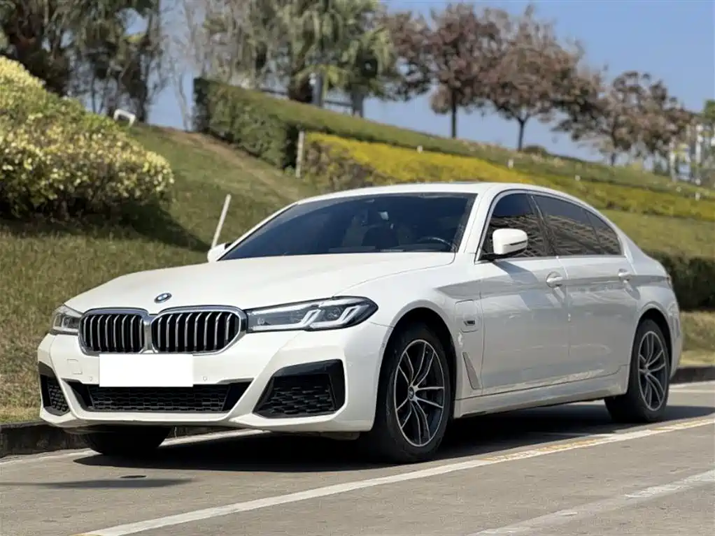 BMW 5 Series New Energy 2021 535Le M Sport Package