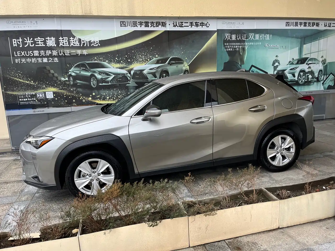 Lexus UX 2022 2022 260h Cool Edition