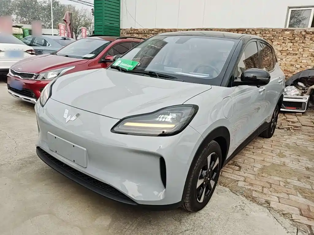 Wuling Motors Wuling Binguo PLUS 2024 2024 Model 510km Flagship Edition 4-Seater