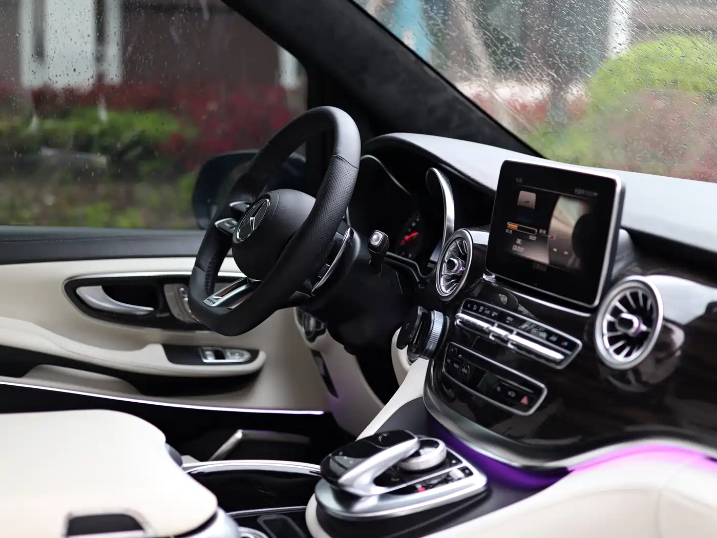 Mercedes-Benz V-Class 2018 V 260 Premium Edition China V фото 38