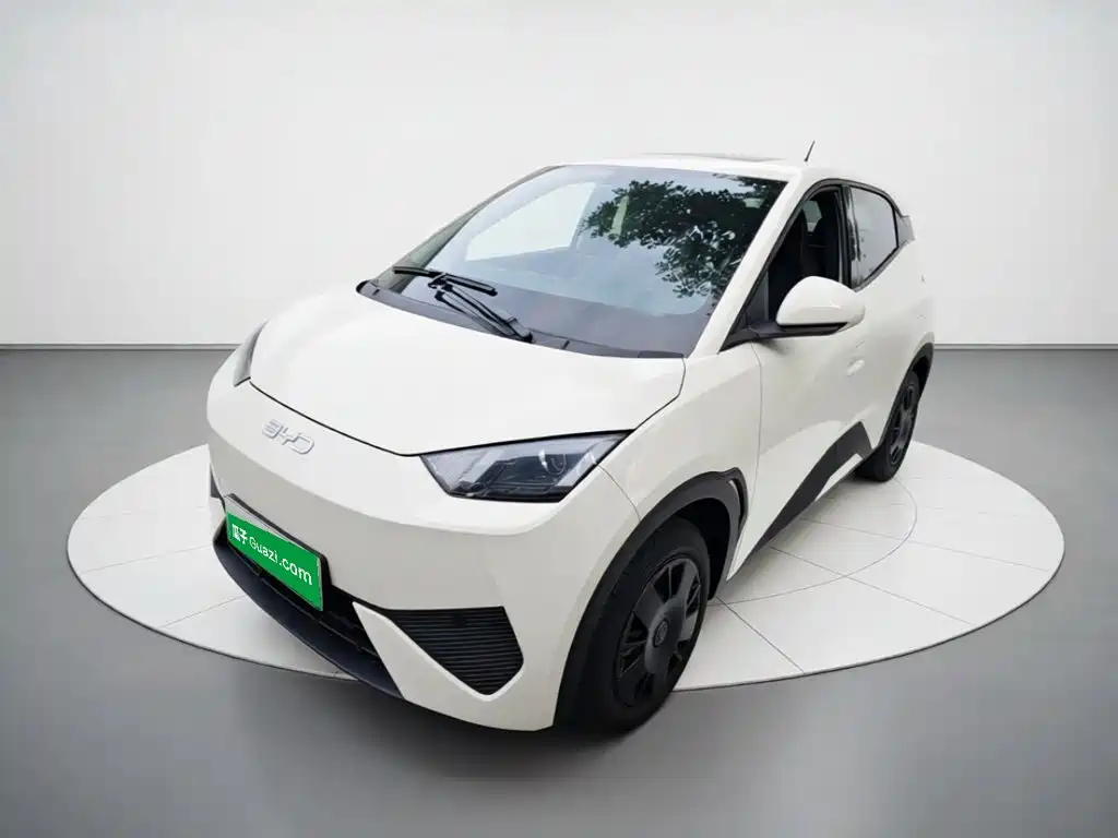 BYD Seagull 2026 2025 Smart Drive Edition 305km Vitality Version