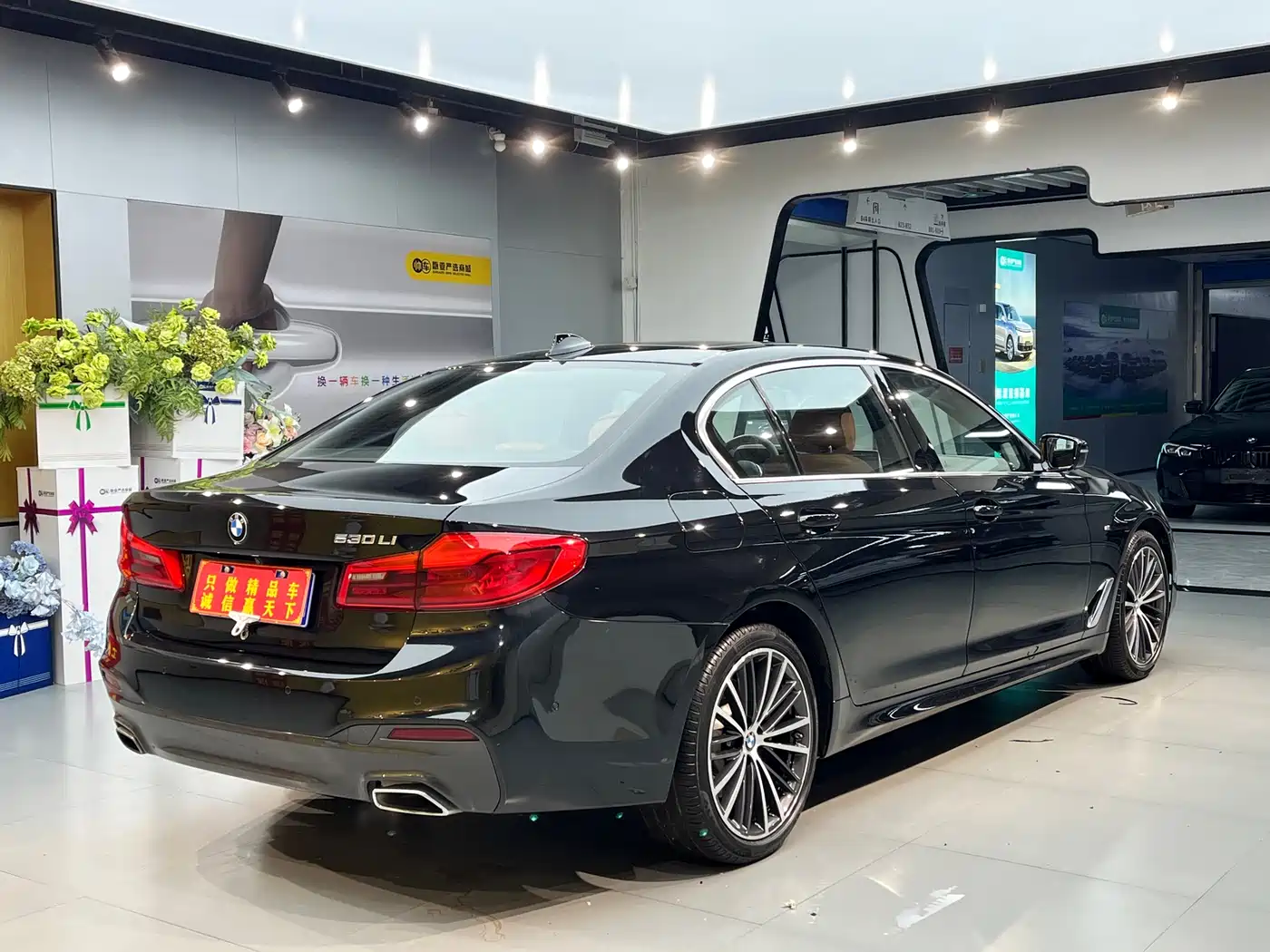 BMW 5 Series 2020 530Li Leading M Sport Package фото 15