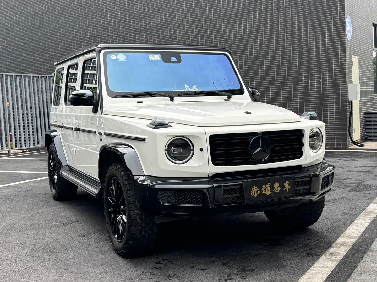 Mercedes-Benz G-Class 2019 G 500 фото 2