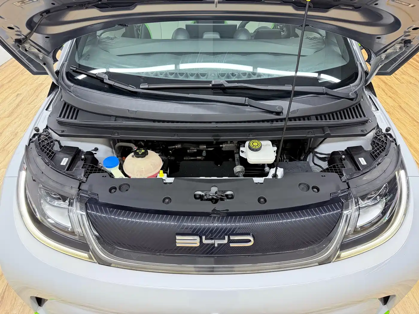 BYD Dolphin 2021 2021 Model 405km Fashion Edition