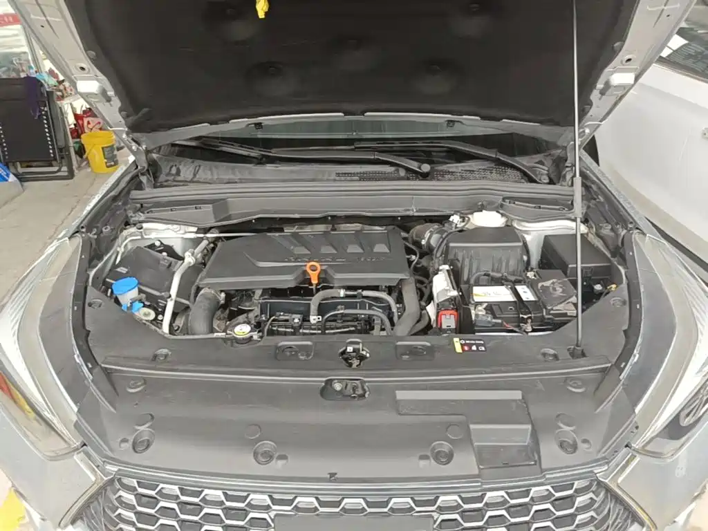 Haval H6 Coupe 2019 2019 1.5T Auto 2WD Luxury Smart Edition China VI