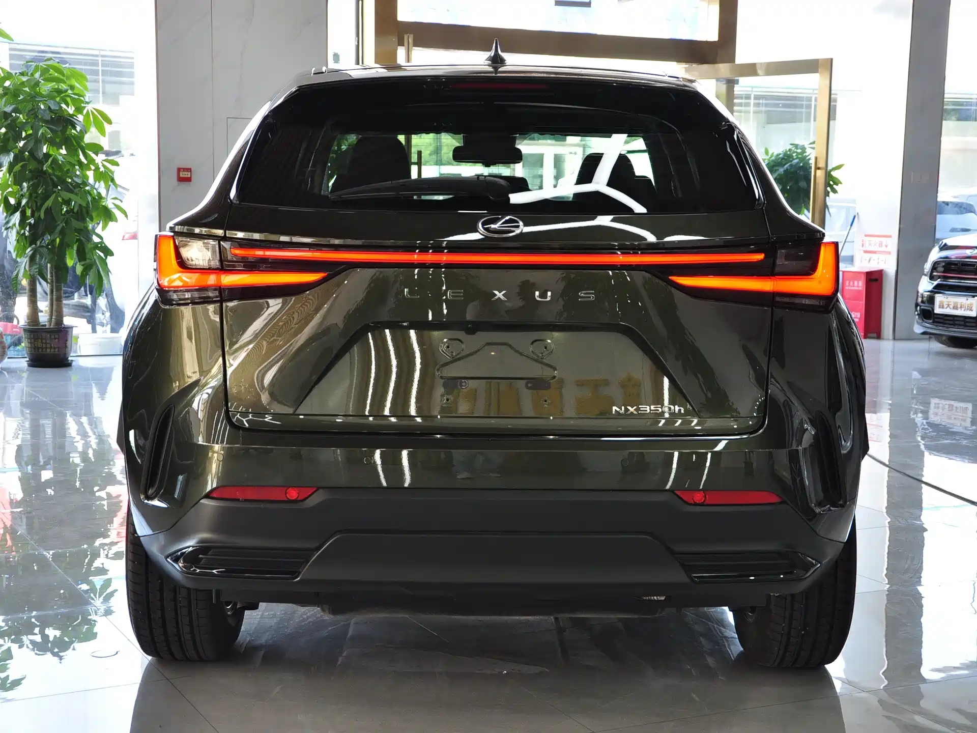 Фото 5 - Lexus NX