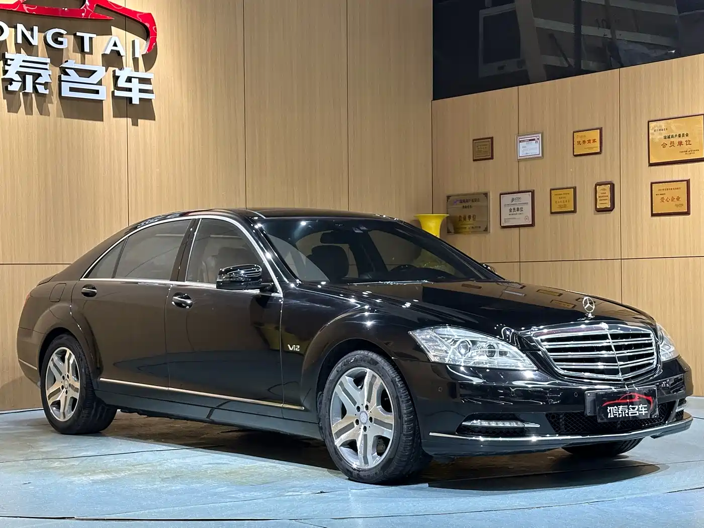 Mercedes-Benz S-Class 2010 S 600 L фото 3