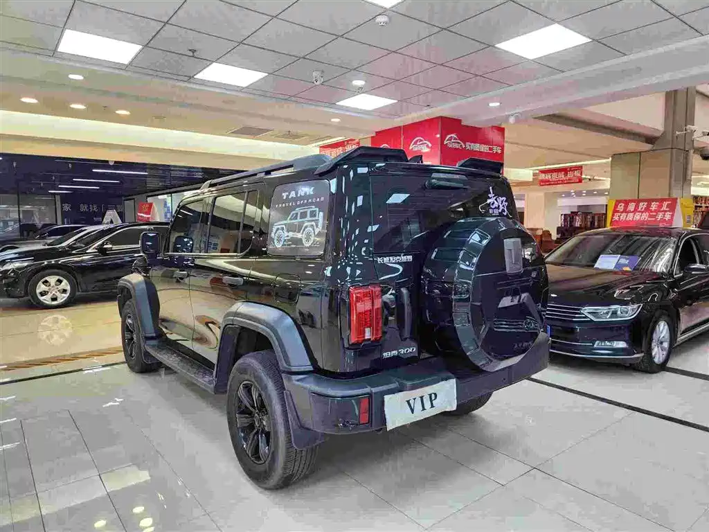 Tank 300 2023 Off-Road Edition 2.0T Conqueror фото 13